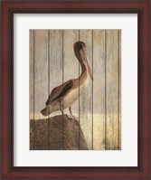 Framed Vintage Pelican II