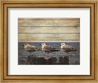 Framed Vintage Seagulls