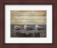 Framed Vintage Seagulls