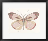 Framed Butterfly 4