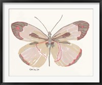 Framed Butterfly 4