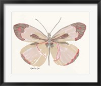 Framed Butterfly 4