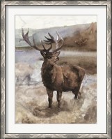 Framed Grand Elk 2