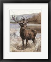 Framed Grand Elk 2