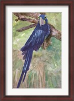 Framed Blue Parrot 1