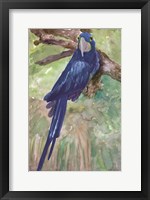 Framed Blue Parrot 1