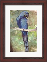 Framed Blue Parrot 2