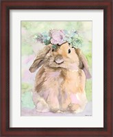 Framed Bunny Bella