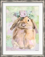 Framed Bunny Bella