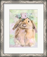 Framed Bunny Bella