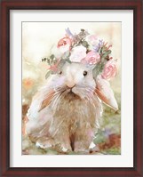 Framed Bunny Sophia