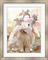 Framed Bunny Sophia