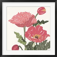 Floral Study 1 Framed Print