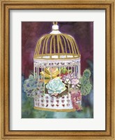 Framed Succulent Bird House