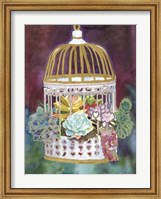 Framed Succulent Bird House