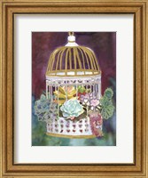 Framed Succulent Bird House