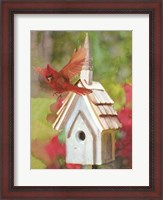 Framed Cardinal Bird House