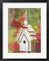 Framed Cardinal Bird House