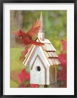Framed Cardinal Bird House