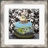 Framed Chihuahua Pillows I