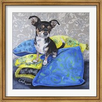 Framed Chihuahua Pillows II