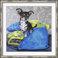 Framed Chihuahua Pillows II
