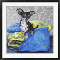 Framed Chihuahua Pillows II