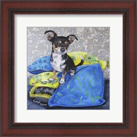 Framed Chihuahua Pillows II