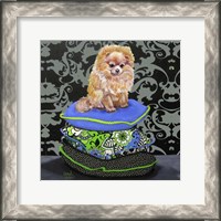 Framed Pomeranian Pillows