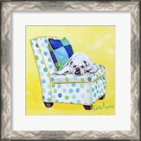 Framed 'Bulldog on Polka Dots' border=