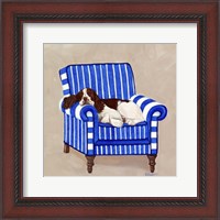 Framed Springer on Blue