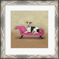 Framed Italian Greyhound on Pink