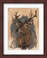 Framed Red Deer Stag II