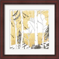 Framed Northwood II