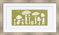 Framed Forest Fungi I