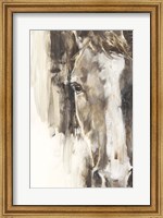 Framed Cropped Equine Study I