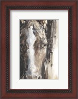 Framed Cropped Equine Study II