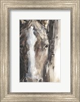Framed Cropped Equine Study II
