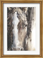 Framed Cropped Equine Study II