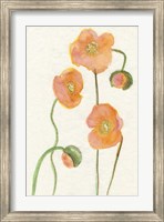 Framed Petite Fleur III