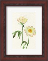 Framed Petite Fleur V