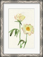 Framed Petite Fleur V