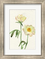 Framed Petite Fleur V