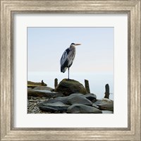 Framed Beachscape Heron I