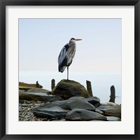 Framed Beachscape Heron I