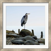 Framed Beachscape Heron I