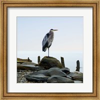 Framed Beachscape Heron I