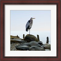 Framed Beachscape Heron I