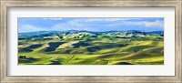 Framed Farmscape Panorama III