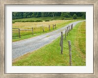 Framed Country Road Photo III